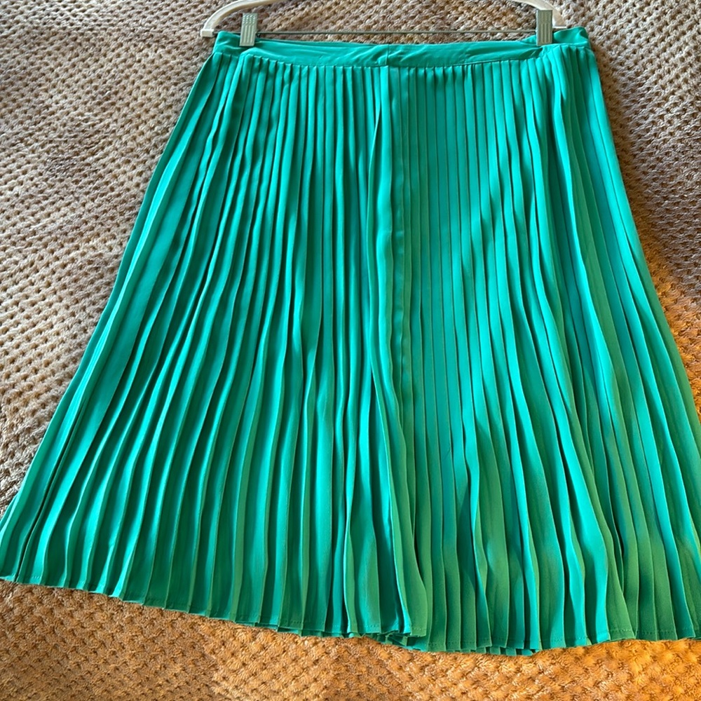NWT beautiful pleated skirt